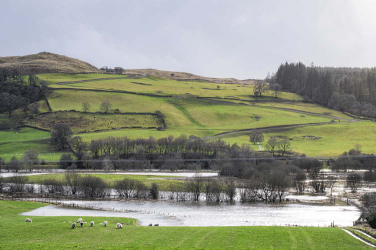 A flooded river within farmland in the Galloway area of Scotland