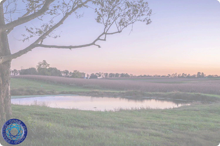 A farm pond with a tree in the foreground and a sunset on the horizon.