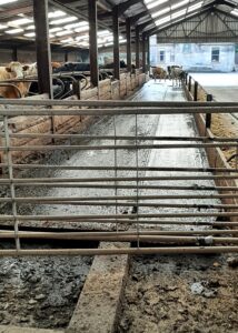 scraped passage
