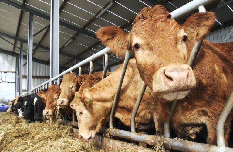 Farming and Water Scotland