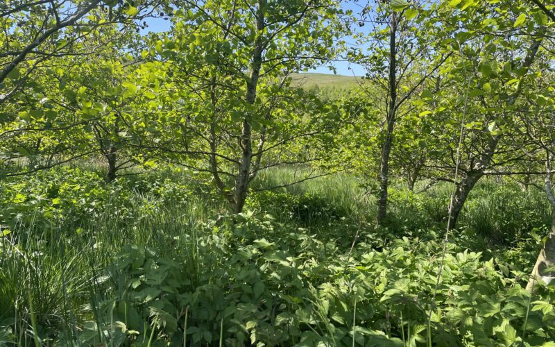 Farming and Water Scotland