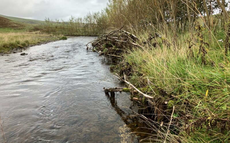 Farming and Water Scotland