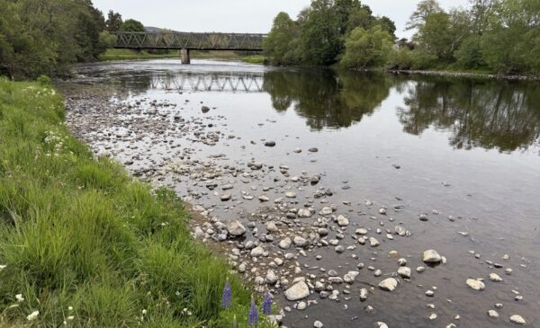 river bank