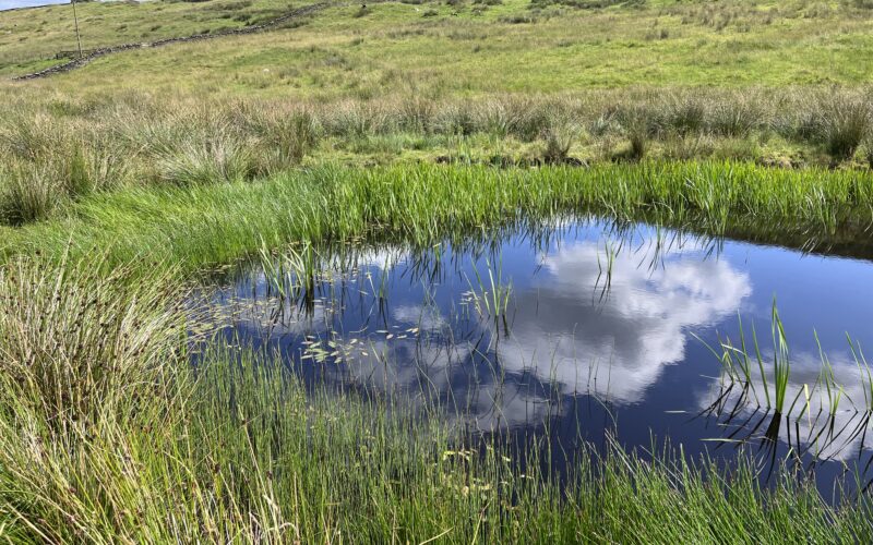 Farming and Water Scotland