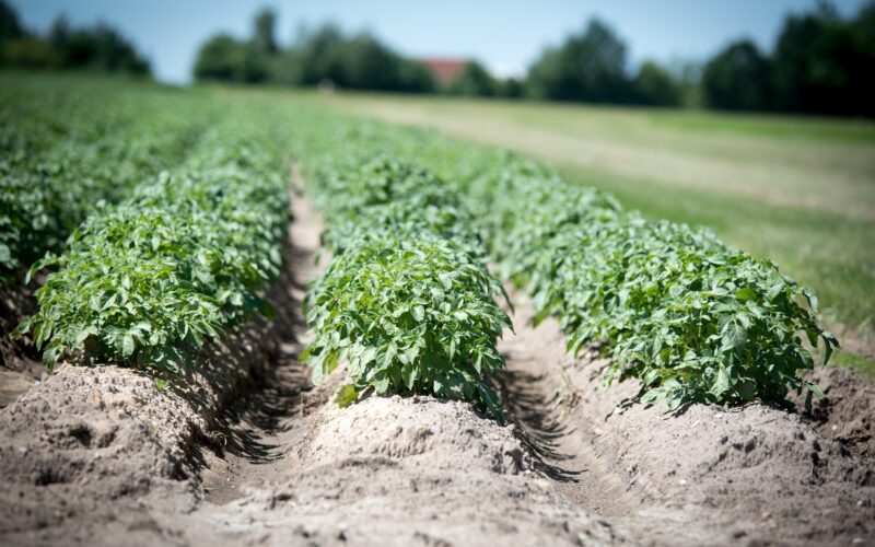Farming and Water Scotland