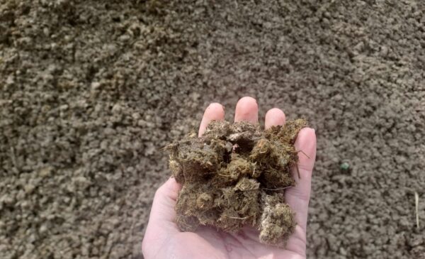 Separated slurry