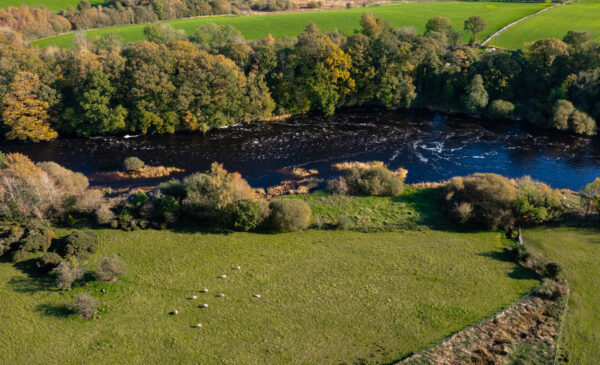 river flowing through a rural location in Scotland on an Autumn afternoon