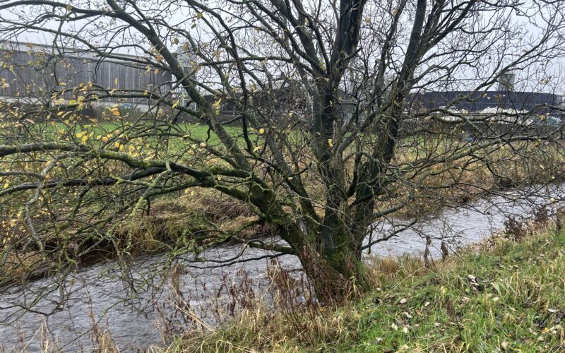 Farming and Water Scotland