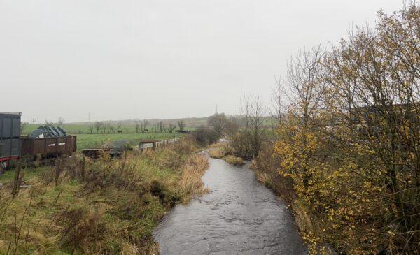 river flowing through farm
