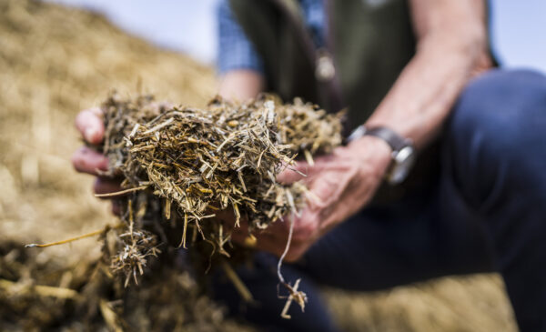 Consultant holding organic material in his hands in front of large pile or organic material.