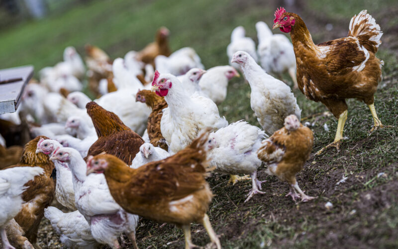 Farming and Water Scotland
