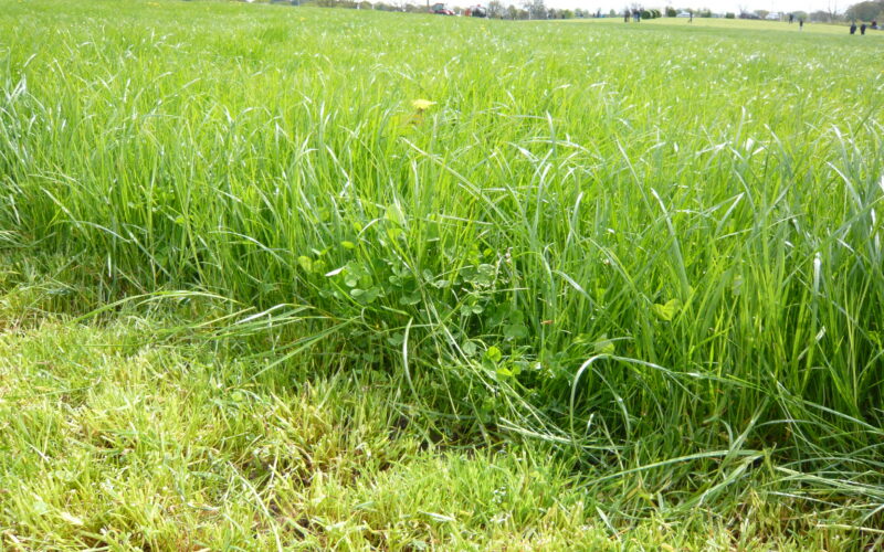 Farming and Water Scotland