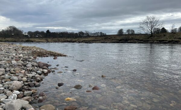 Wide river, with stones exposed. Agricultural fields in foreground