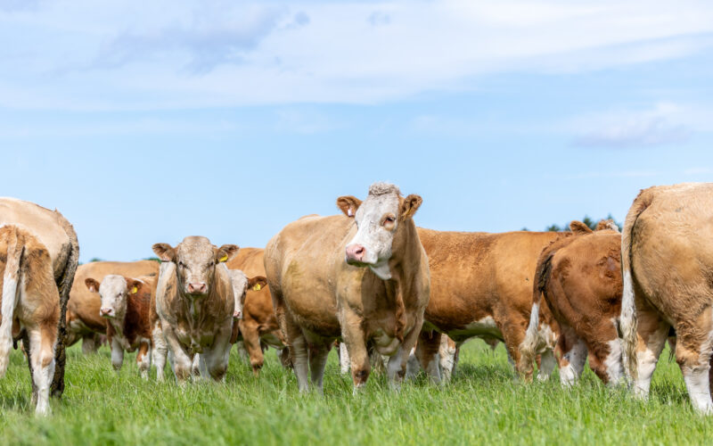 Farming and Water Scotland