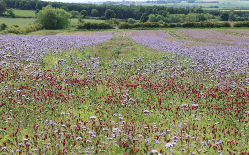 Farming and Water Scotland
