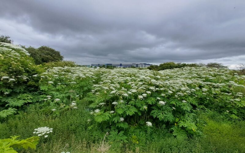 Farming and Water Scotland